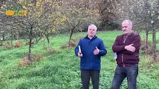 Los 7 ECOMagníficos: 
