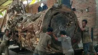 A Massive Sawmill in New York Faces the Cursed Mount Bleduk Log and Uncovers Its Hidden Truth