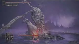 Fists 15 arc (Putrescent knight) no hit