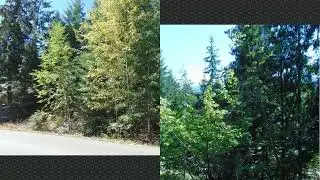 Waverly Drive Blind Bay, BC V0E 1H2