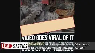 Fact Check: Video Does NOT Prove Worms Fell From The Sky In China -- They're Tree Blooms