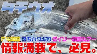 【タチウオ】指４・明るい時間に爆釣・ダイソー最新ルアーインプレ…情報満載で必見です。＜和歌山釣り＞