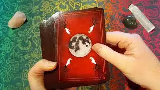 Top 5 Oracle Decks of 2020