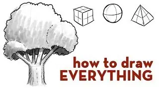 Quick Tips 