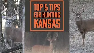 Top 5 Tips for HUNTING KANSAS