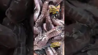 #UTTAR PRADESH DELIVERY 🚂 #DESI MANGUR 🐟 SEED. #ALL OVER INDIA DELIVERY 🚂✈️🚛 FOR ORDER- 8697872088 🙏