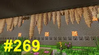 Sopravvivere in Minecraft Ep. 269 - Farm di Speleotema