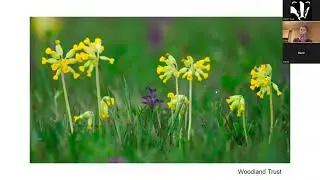 The Grasslands of Rutland Water Nature Reserve
