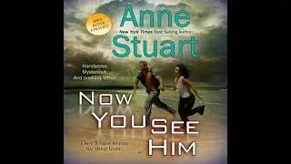 Now You See Him - Anne Stuart
