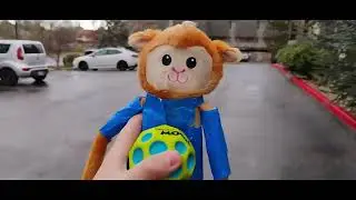 Super Monkey Moon Ball