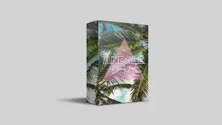 [FREE DRUM KIT] ANDALE 💃 -  Base de Funk 2020 (DRUMKIT & LOOPS)