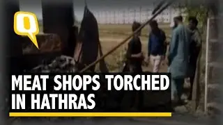 The Quint: 3 UP Meat Shops Set Ablaze, Govt Orders Total Slaughterhouse Ban
