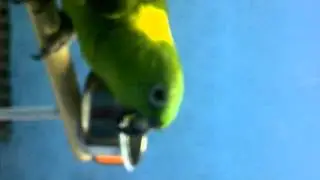 للبيع يلوناب 2011 حار عنده الاخلاص ماشاء الله