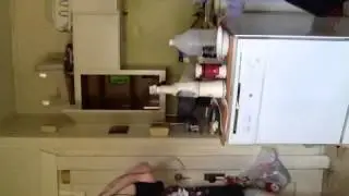 Noodle smoodle poodle
