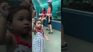 🎶baby shark! Do.do.do.do!🎶🦈 #babysharkdance #toddlervlogger #toddlervlog #cebucity