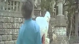 Kung Fu Montage #1