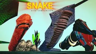 Biggest Monster Snake Size Comparison 2026 | King Cobra Vs Basilisk