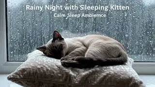 10 HOURS Steady Rain Noise | Calming Rainfall Sleep Therapy