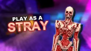 Awesome Stray mod