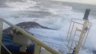 Svitzer thor