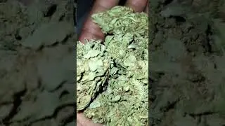trinidad 🇹🇹  local #weed #trinidad
