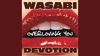 Overloving You (The Snipplers Remix)