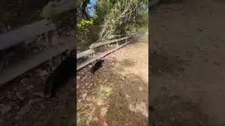 My first hike last week at Providence Canyon State Park last weekend. Georgia's mini Grand Canyon.