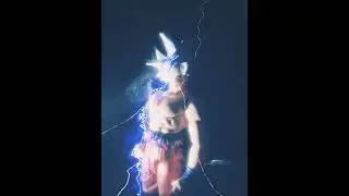Custom ultra instinct, Goku