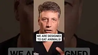 The Truth About Animal-Based Diets...👉  #shorts #ytshorts #steak #animalbased #viral #weightloss
