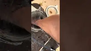 Clear the pine needles from the pump impeller using the air bleed method and fingers.