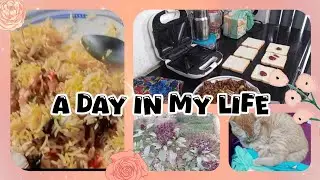 Chuttiyon mein bachey bore na ho, my simple  routine | Mom of 4 daily routine | Homeschooling