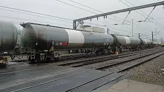 GBRf 66301