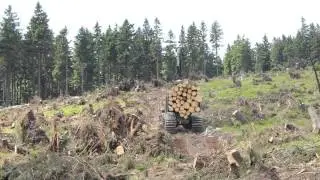 Kalamita - 1110E