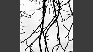 Deine Augen
