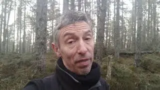 Международное мошенничество &mdash; сообщение для родителей Милли Доулер