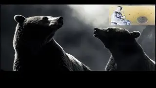 | 