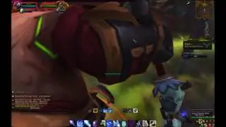 Leveling from 10-100 IN ONE DAY WITH INVASIONS!