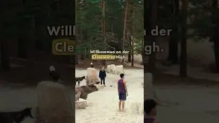 Die Welt der Wandler|| Woodwalkers - der Film🎬🐆🐾#katjabrandis#woodwalkers#woodwalkersderfilm#shorts