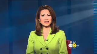Leyna Nguyen 2011/09/16 9PM KCAL9 HD; Lime green jacket
