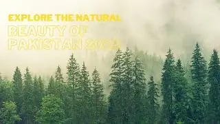 Explore The Natural Beauty Of Pakistan | Northern Areas | Islamabad | Skardu 2022 Tour Service