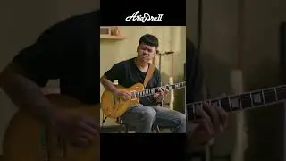 Aria Pro II PE-350PG