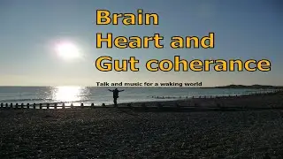 Brain heart gut coherence