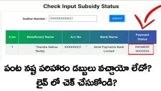 input subsidy payment status