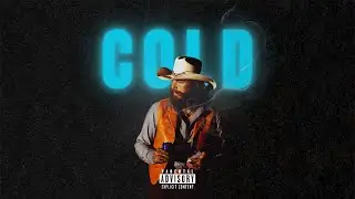 [FREE] Shaboozey x Post Malone x BigXthaPlug Type Beat - 'Cold'