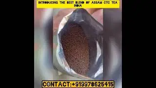 Experience the Bold Delight: Assam Tea