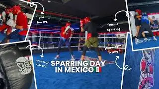 INSANE Sparring Day in Mexico 🇲🇽 The Mexican Boxing Style!