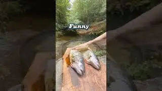Funny moments scene #shorts #shortvideo #highlights #funny