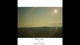 Linger the Rabbit - savior
