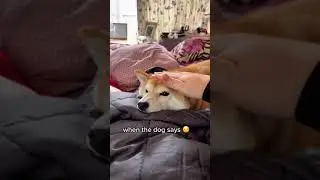 no pats.