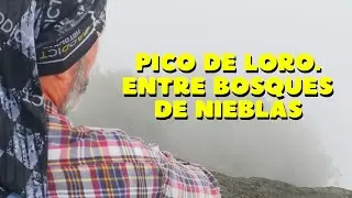 PICO LORO EN  PANCE- MONTAÑAS DE FARALLONES DE CALI COLOMBIA- mirá vé con juan gonzález